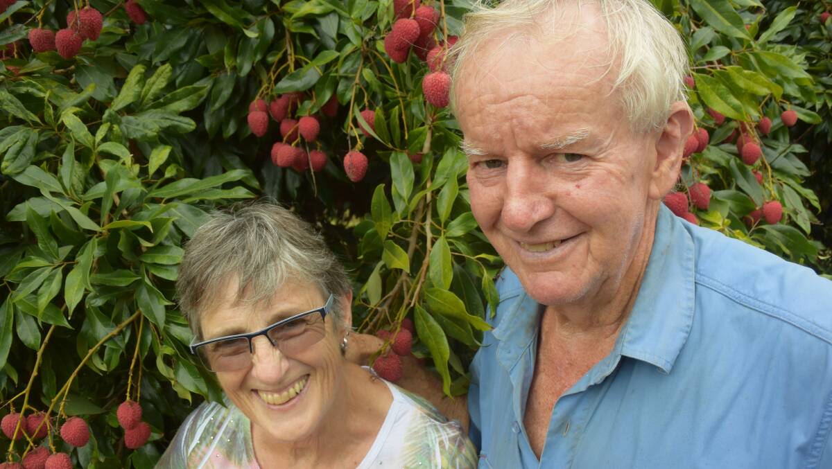 Liz and Ted Knoblock, South Boambee via Coffs Harbour, sell Bengal variety lychees - with branches and leaves - during the Chinese New Year celebrations.