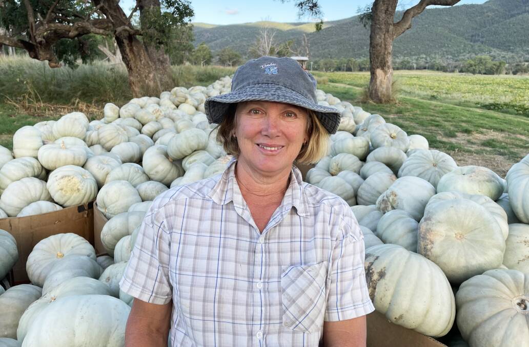 READY: Bianca Zappa, Dumaresq Valley, with a load of Sampson pumpkins for market. Some will go to Sydney Royal Show.