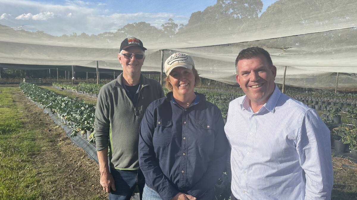 INFO: NSW agricultural minister Dugald Saunders talks pollination with Coffs Harbour horticulturalists Kellie Pots and Nigel McIvor. Photo: Supplied