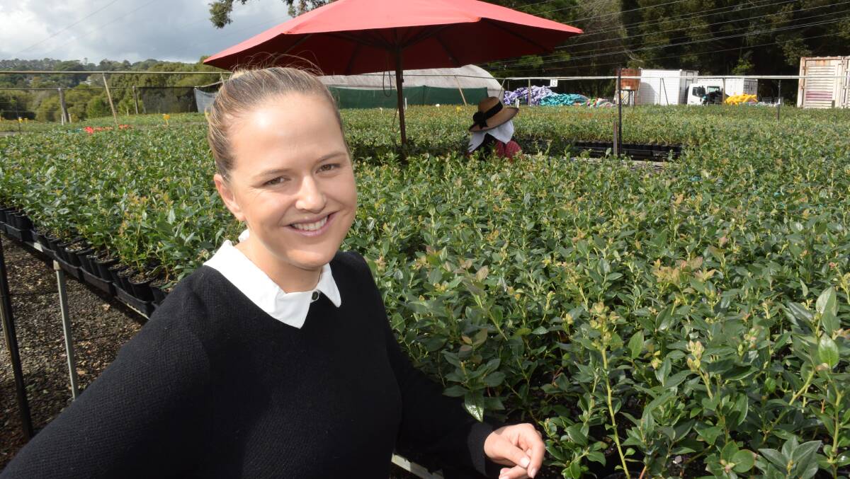 Natalie Bell, Tallogum Farms, Lindendale via Alstonville where new bushes - the result of her father's blueberry research - are helping to fill a critical autumn market gap. Funding through Coles is helping to make it possible.