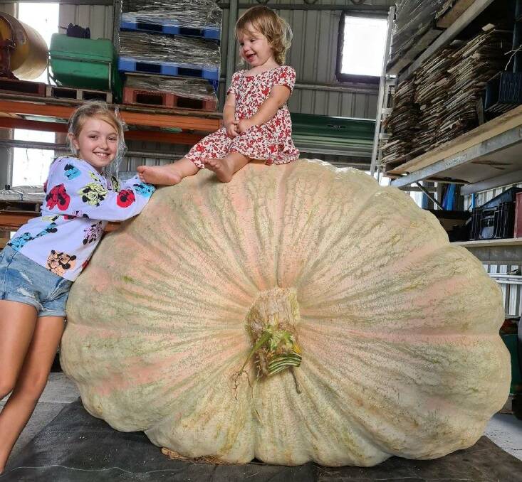 BIG: Nieces of Dale Oliver, Ruby and Bella, were dwarfed by the new record pumpkin, weighing 867kg.