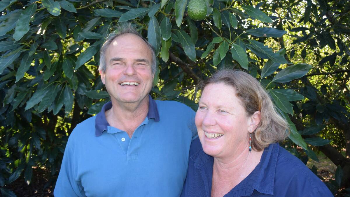 MARKET: Comboyne avocado growers Ernst and Penny Tideman fear a protracted downturn for anything other than premium grade fruit.