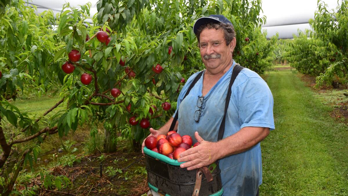 Jeff Zanette, Lismore, says a hands-on approach to managing labour is essential for success in small farming.