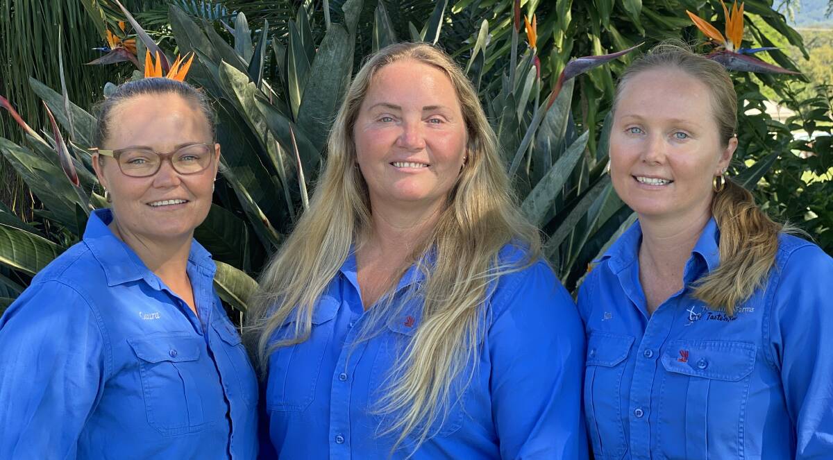 CONCERN: TSL Family Farms' Laura Wells, Tracey Denman & Sam Stewart, say the $100,000 labour lottery program has brought the farm's workforce just under capacity, something they never expected.