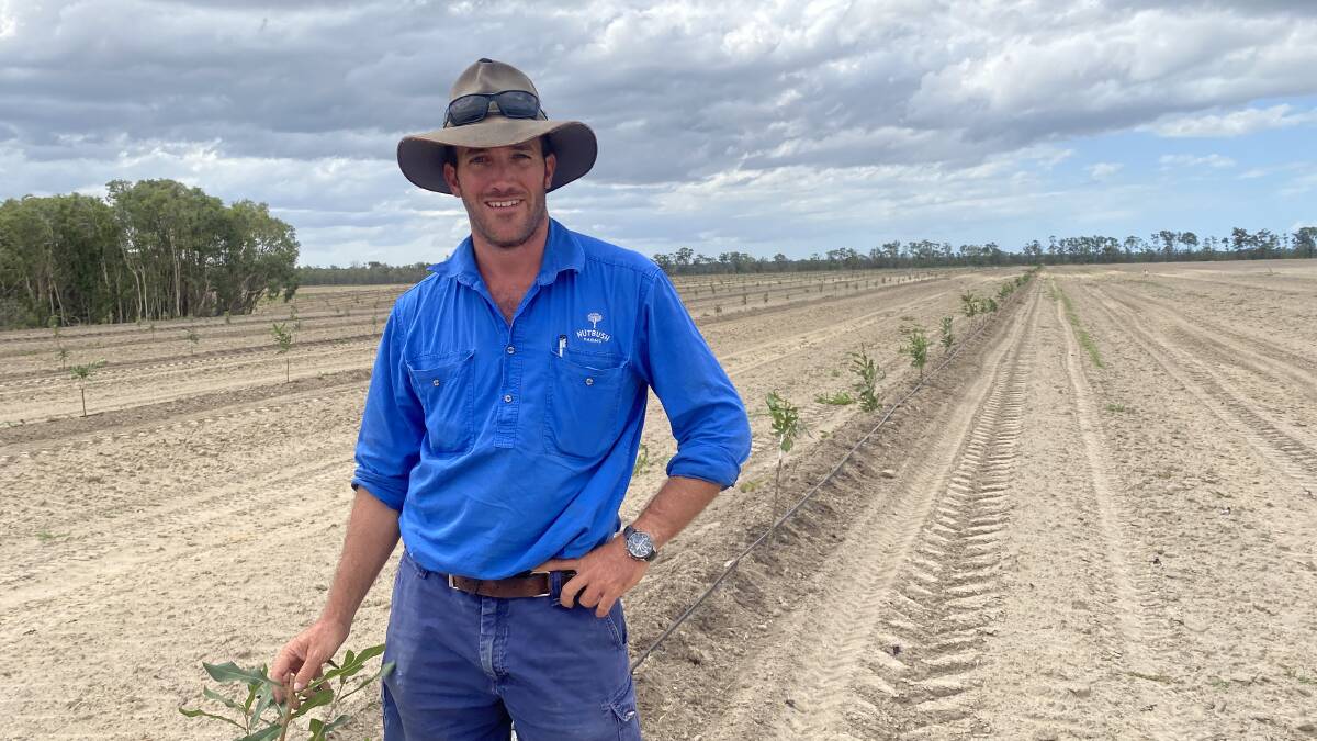 ACTION: Bundaberg macadamia grower Michael McMahon backs the class action against the government.