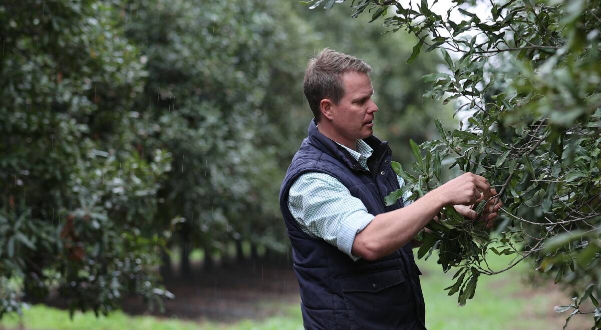 NATURAL: MacField Farms managing director Henrik Christiansen says the decision to obtain Hort360 certification was a natural business progression.