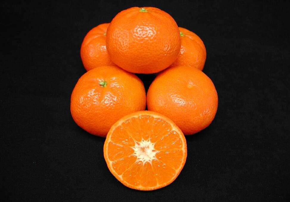 NSW mandarins go global