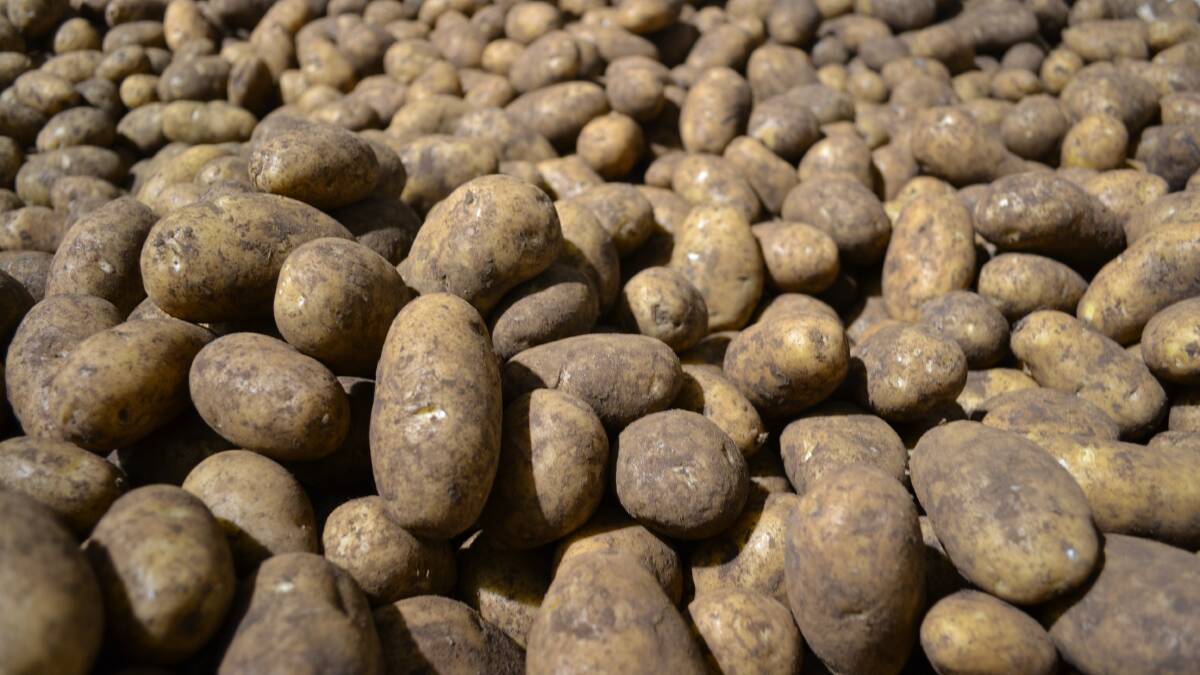 Vic, SA potato growers gain access to Indonesian markets
