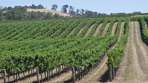 Grant Burge has bought Lorndan Vineyard in the Adelaide Hills. Photo: Supplied
