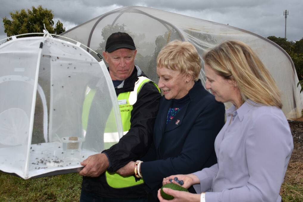 INSIGHT: WA Department of Primary Industries and Regional Development researcher David Cook, WA agriculture and food minister, Alannah MacTiernan and Hort Innovation research and development general manager, Alison Anderson, looking at the pollinator research. 