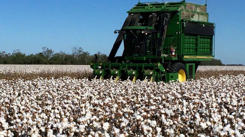 STUDY: ABARES found in the Southern Basin there was an increase in demand of around 400 gigalitres each for cotton and almonds, for water at a fixed price of $200/ML in 2018/19 compared to 2005/06.
