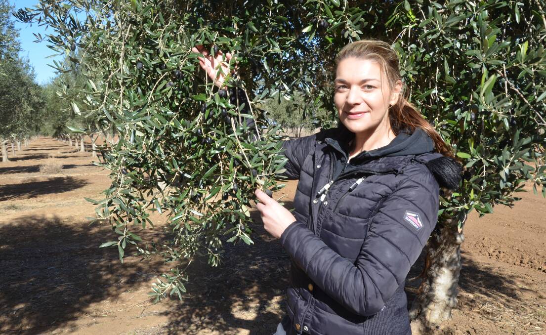 HEALTHY: Tanya Rorato, Olive Oil Australia, Jerilderie. The Roratos are hoping to produce 300,000 litres of olive oil this year. 