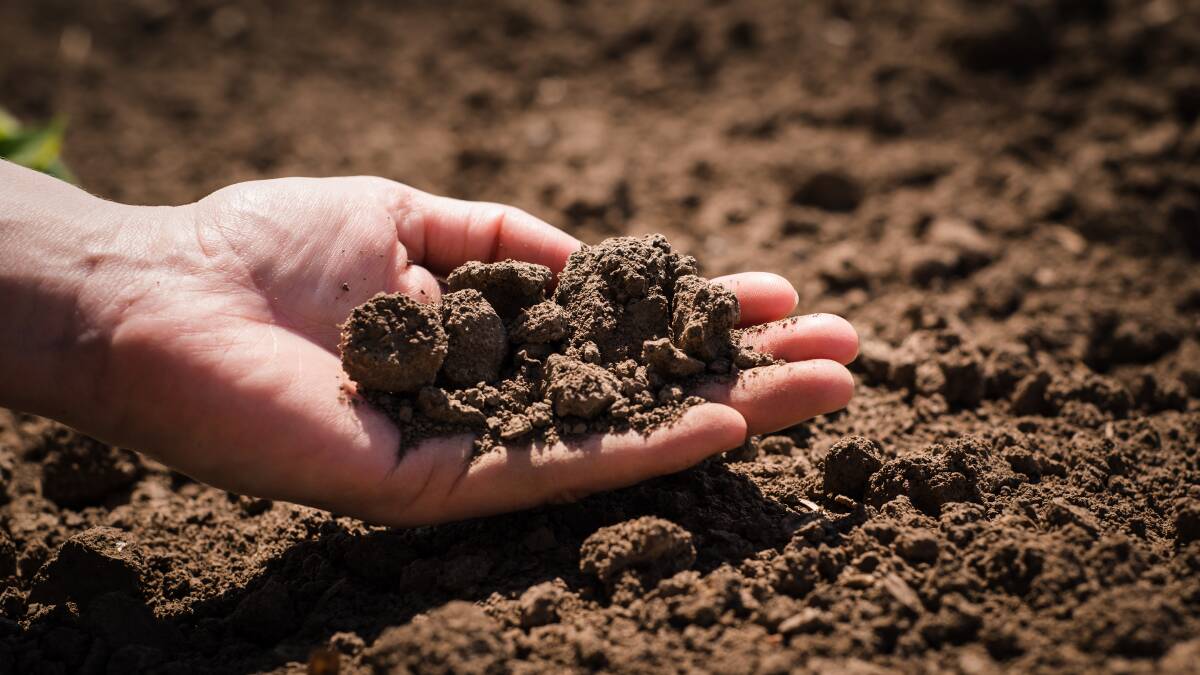 HANDS-ON: The field day will include an indoor component, plus a practical field demonstration of using survey equipment and constructing soil conservation structures. Picture: Shutterstock