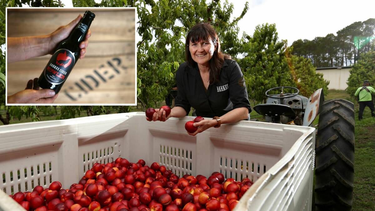 FRESH: Jo-Anne Fahey and her award-winning 'Howler' Darkes Cider. Pictures: Kirk Gilmour/ Adam McLean
