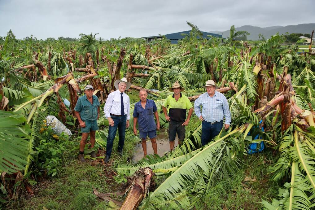 SURVEY: Federal member for Kennedy Bob Katter and State member for Hill Shane Knuth visited Boogan Banana farmers Angelo Russo and Frank Sciacca on Tuesday, alongside Cassowary Coast Banana Growers Association President Dean Sinton. Picture: Michael Chambers