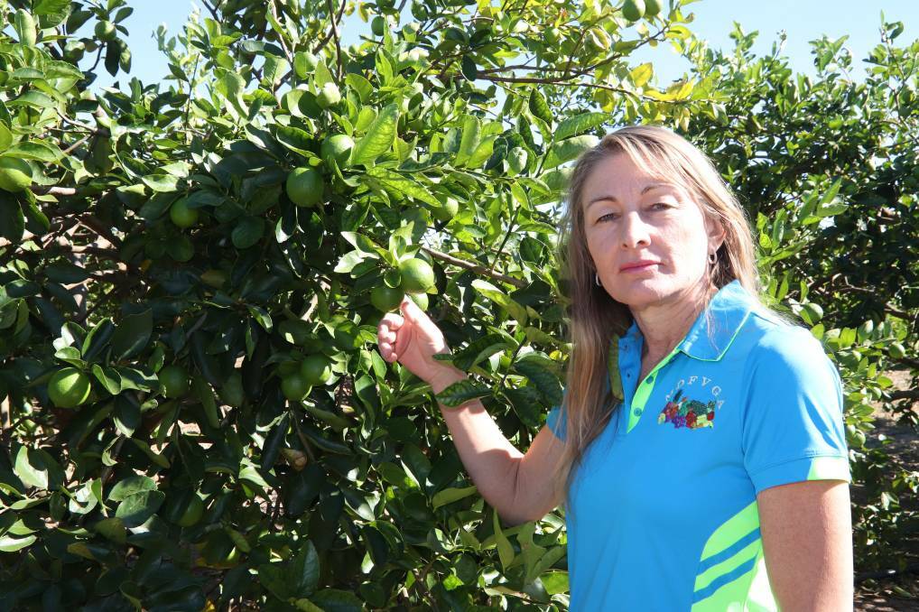CONCERN: Mutchilba citrus farmer Karen Muccignat from Muccignat Farming said the lives and livelihoods of hundreds of family farms on the Atherton Tablelands were at risk if the imports were allowed in.