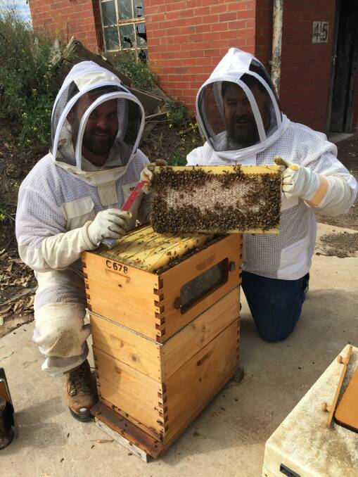 EXPERTISE: Beekeeper Dan Hooper and Stephen Jeffers take a look inside a busy Flow Hive with happy bees in the HiveMind garden. 
