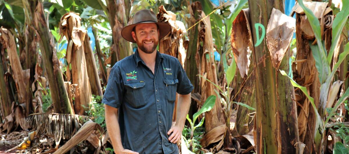NEED: Atherton Tablelands grower Andrew Serra is among the Australian Banana Growers' Council members calling for a hotel quarantine subsidy for agricultural workers. 