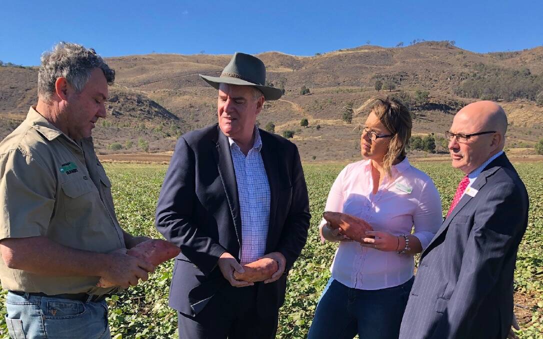  Australian Organic Farmers founder Anthony Bauer, Minister Mark Furner, Woolworths Assistant State Director Peta Nutley and Heritage Banks Peter Lock