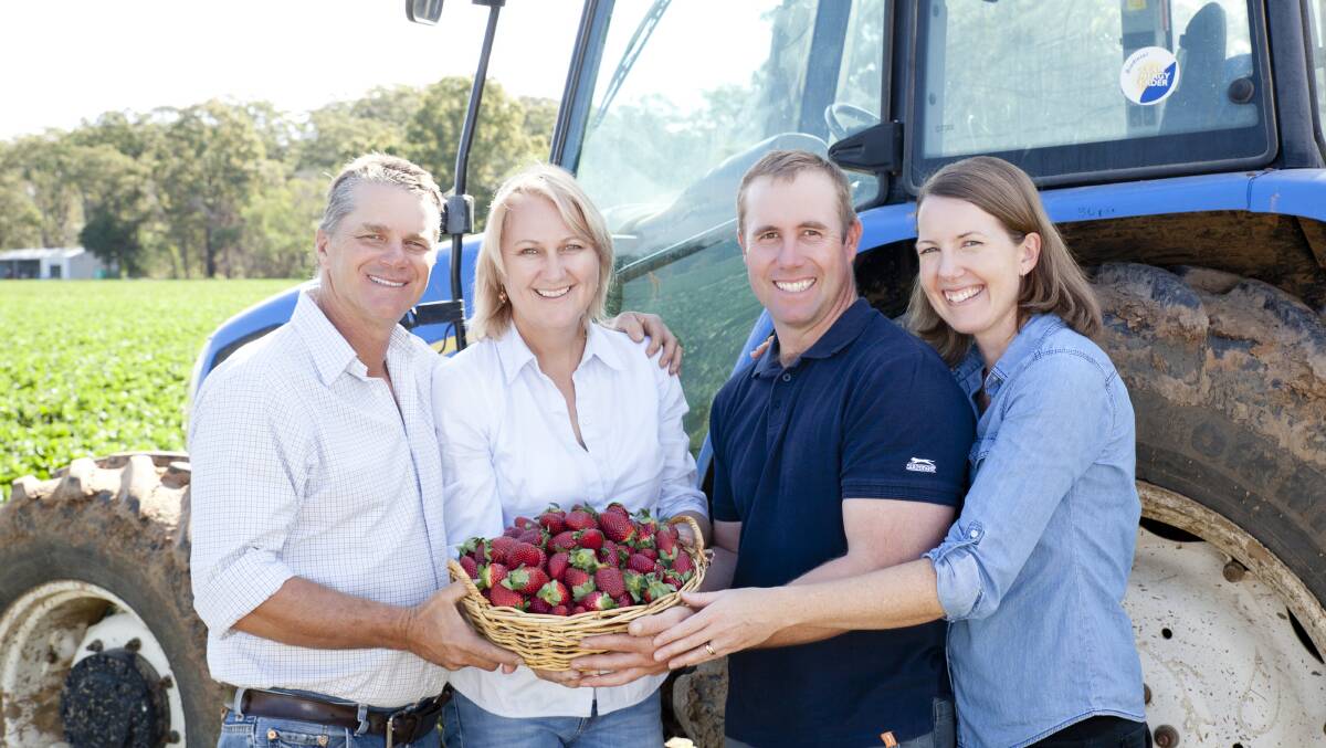PLAN: Jon and Bernie Carmichael and Brendon and Ashley Hoyle of Ashbern Farms. Photo: Fran Flynn Photography