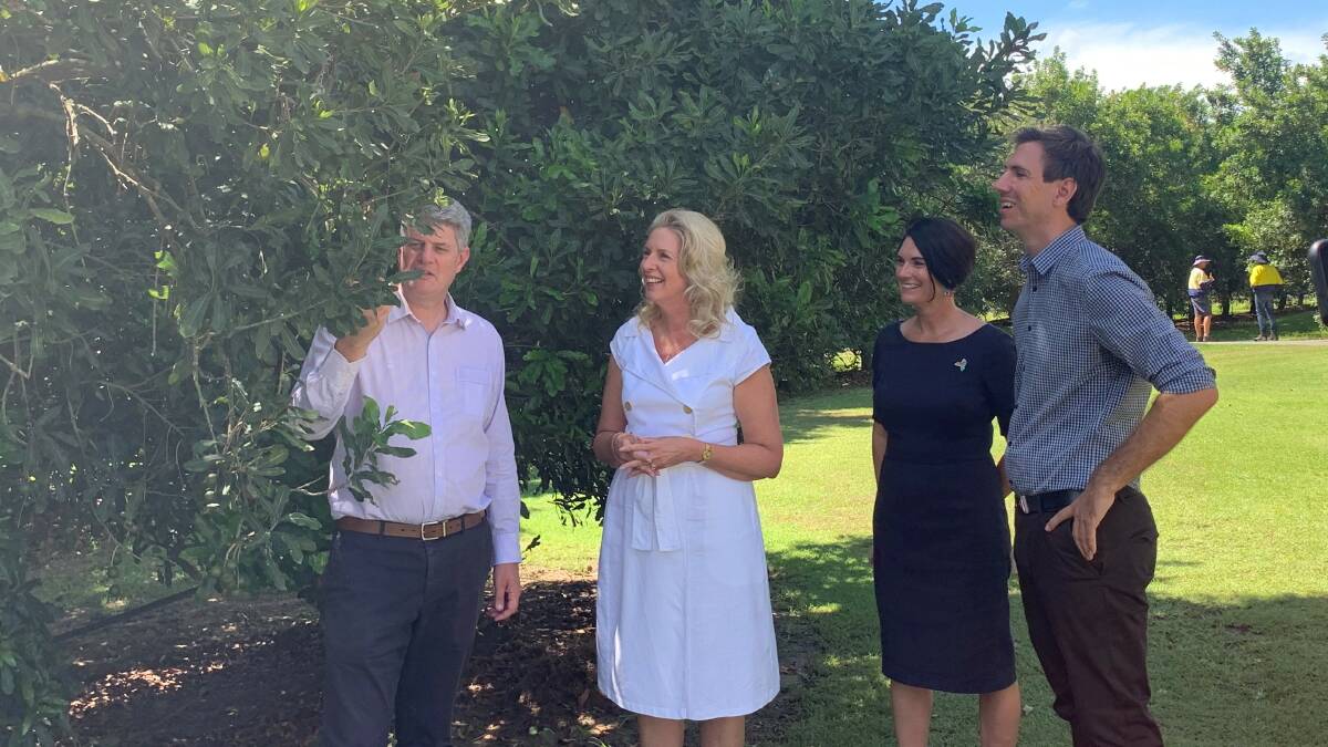 POTENTIAL: Tourism minister Stirling Hinchliffe, Macadamias Australia director Janelle Gerry, Bundaberg Tourism's Katherine Reid and Bundaberg MP Tom Smith in the orchard. 