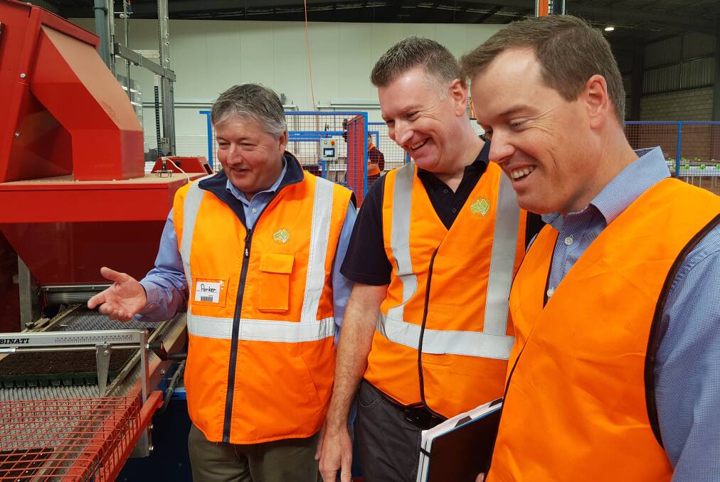 FIRST HAND: Boomaroo Nurseries' David Parker and Peter Smith and TSBE Food Leaders Australia general manager Bruce McConnel inspect the automated facility at Southbrook. 