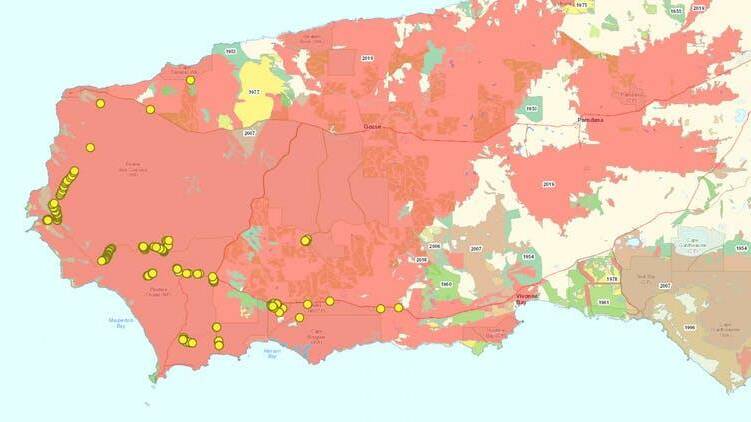 LOCATION: The yellow dots represent known green carpenter bee nests. In red: the area burnt in 2020. Only a subset of the remaining green and yellow patches still have the right vegetation for the green carpenter bee. Image: Nature Maps SA/Remko Leijs 