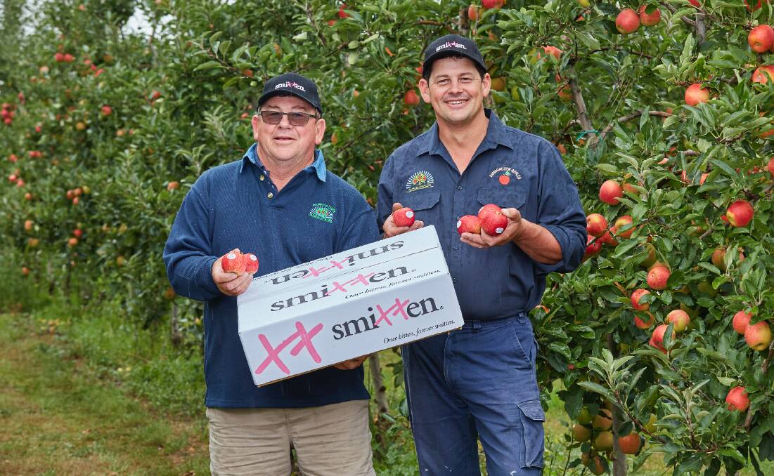 CHUFFED: Glynn and Brad Fankhauser in their Drouin Orchards in Victoria with the specially grown Smitten apples, that were a huge marketing success for Valentine's Day.