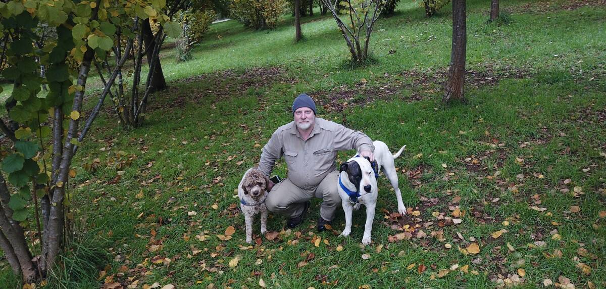 FUTURE UNKNOWN: Yarra Valley Truffles owner Stuart Dunbar, Woori Yallock, with truffle dogs Lani a Lagotto Romagnolo and Jager a bulldog-cross, exports about 90 per cent of his product annually.