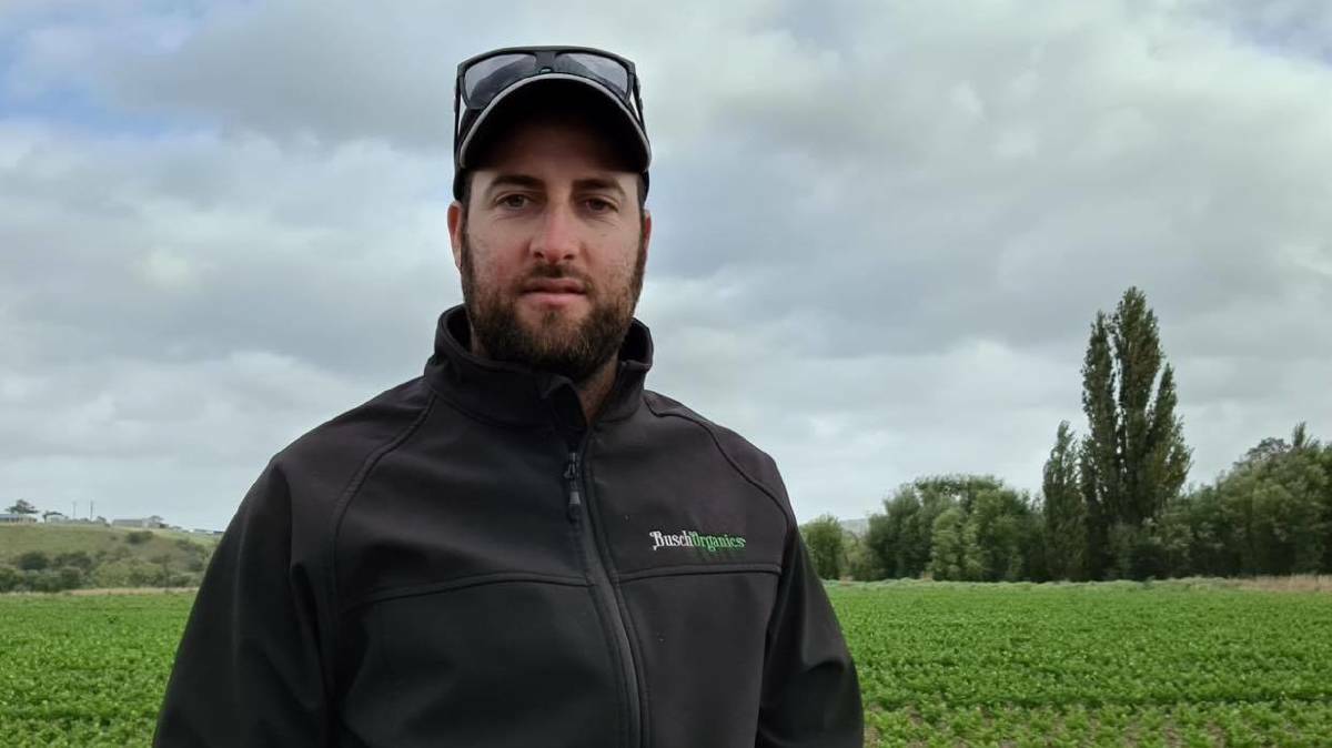 LABOUR GAP: Gippsland vegetable grower Kane Busch, Busch Organics, Lindenow, said a shortage of workers was causing a number of problems for growers.