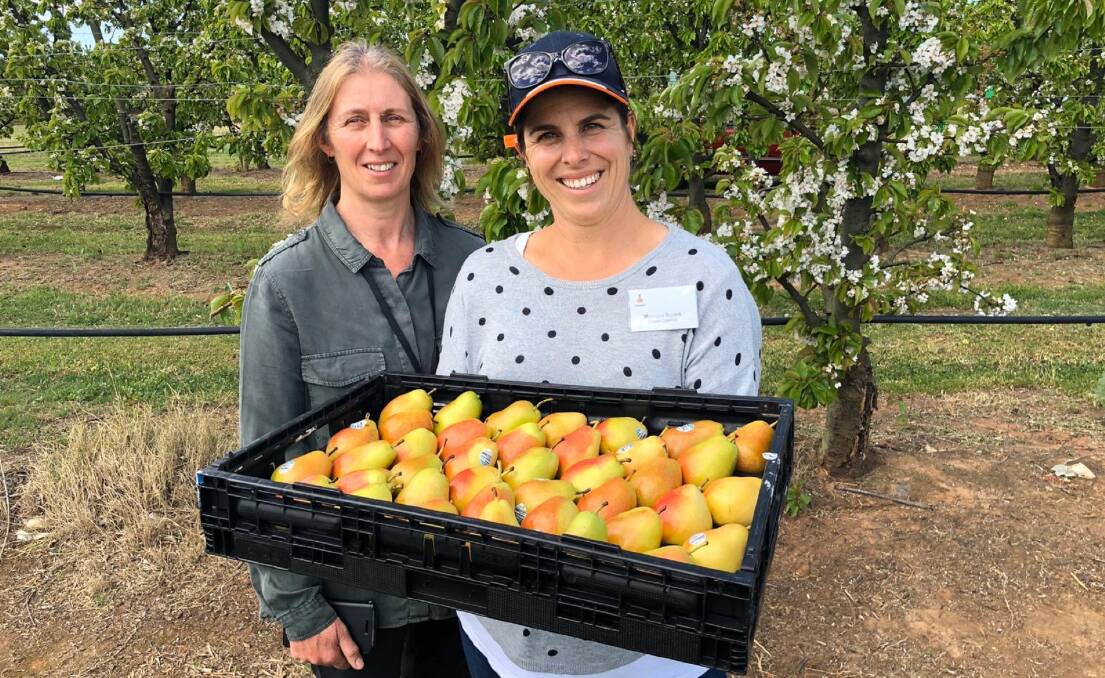 NEW BLOOD WANTED: Woodleigh School agriculture and horticulture teacher Shona Janky and Rabobank Northern Victorian Client Council member and TeacherFX program organiser Monique Bryant visited Prima Fresh at Tatura.