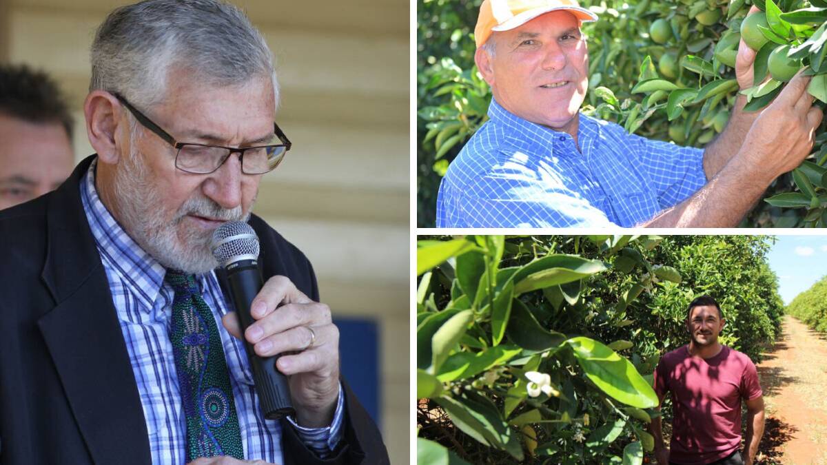 WORK TO DO: The citrus industry has the backing of Leeton Shire Council mayor Paul Maytom, who said local government would continue to lobby for the health start rating for orange juice to be changed.