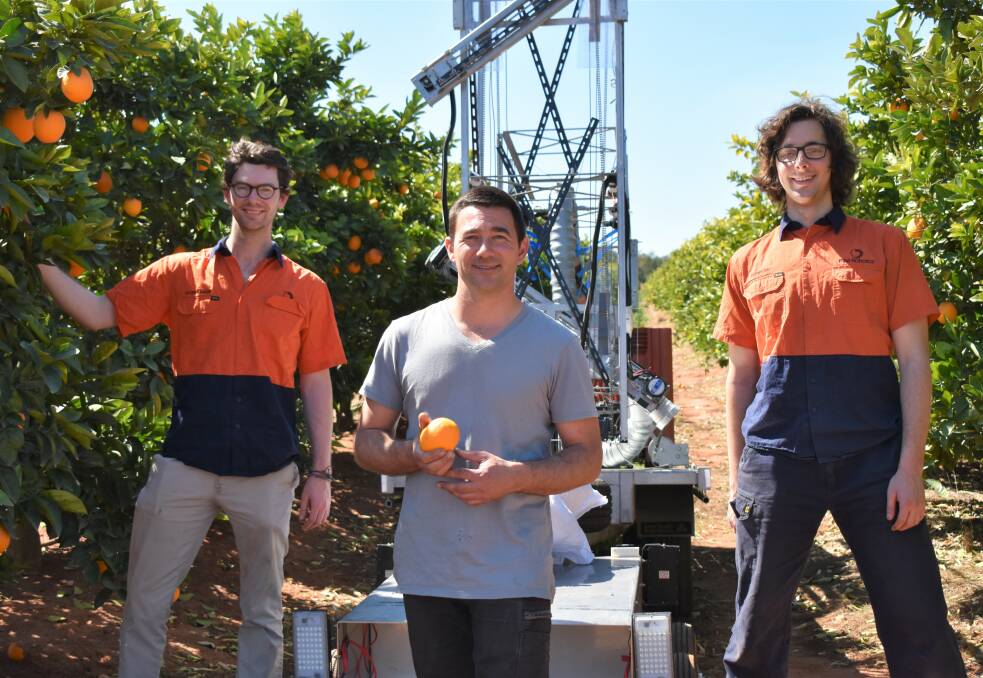 PICK OF THE FUTURE: Leopold Lucas, Vito Mancini and Hunter Jay using a prototype to pick oranges. PHOTO: Shaun Paterson