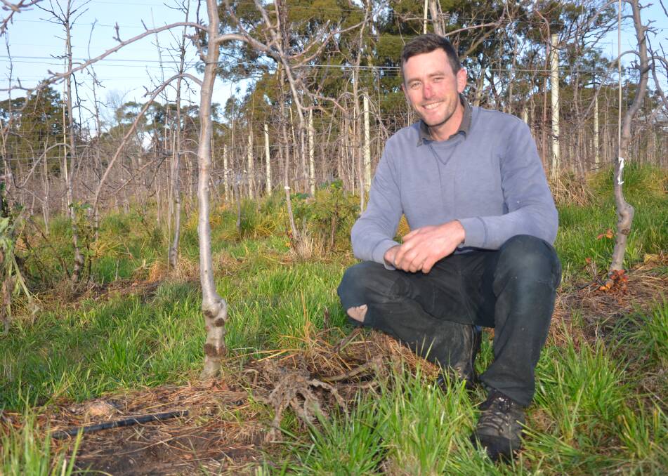 NEEDED: Apple and pear grower Joel Brockhoff, Lenswood, is one of many growers applying for a grant through the Horticultural Netting Infrastructure Program.