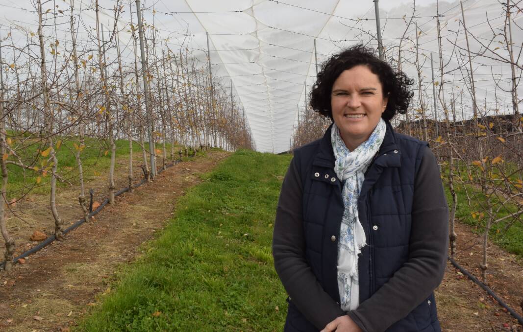 CHANGE WELCOMED: Apple and Pear Growers Association chief executive officer of SA Susie Green was pleased growers in the Hills Face Zone were now able to reap the benefits of planning exemptions.