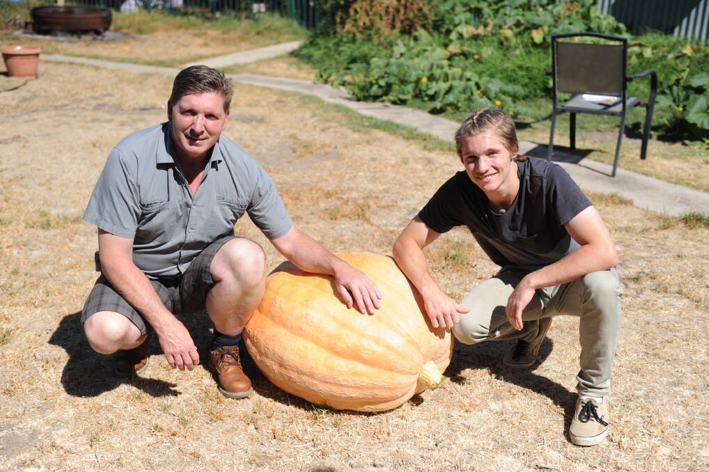 HUGE: Father and son duo Danny and Liam Reyland pose with their giant pumpkin in their backyard. Picture: ELIJAH MACCHIA 