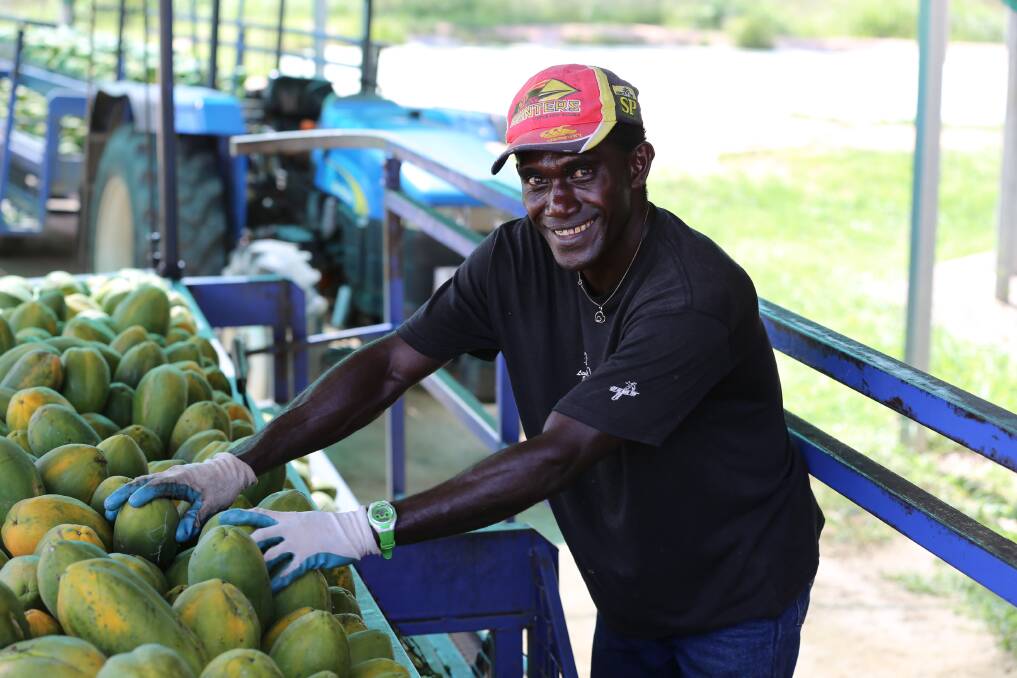 WORK: Temporary visa extensions are available for working holiday makers and those within the Pacific Labour Scheme and Seasonal Worker Program, to secure agriculture's labour workforce. 