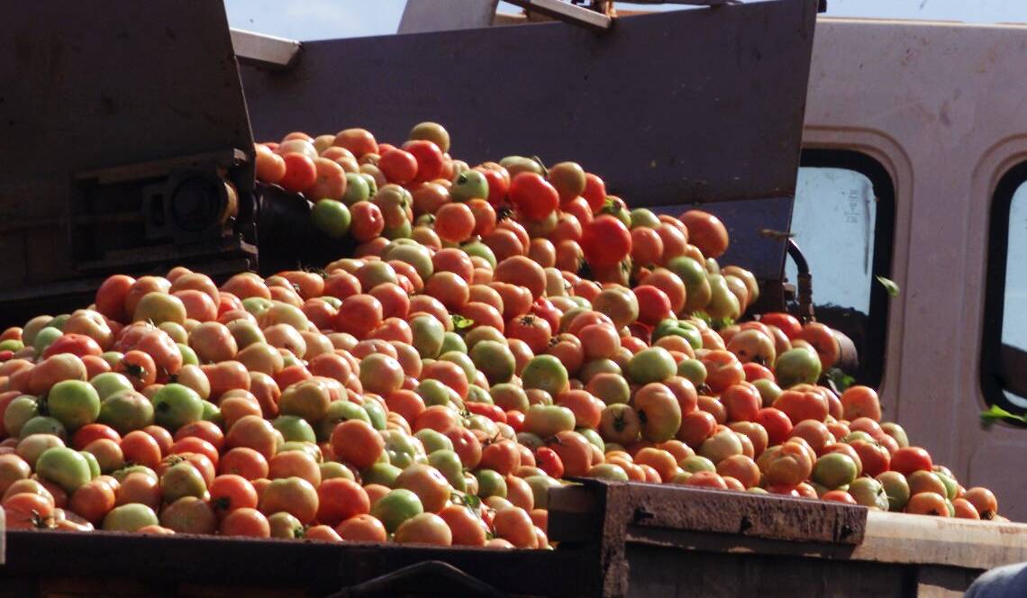 Ombudsman rules in favour of tomato pickers
