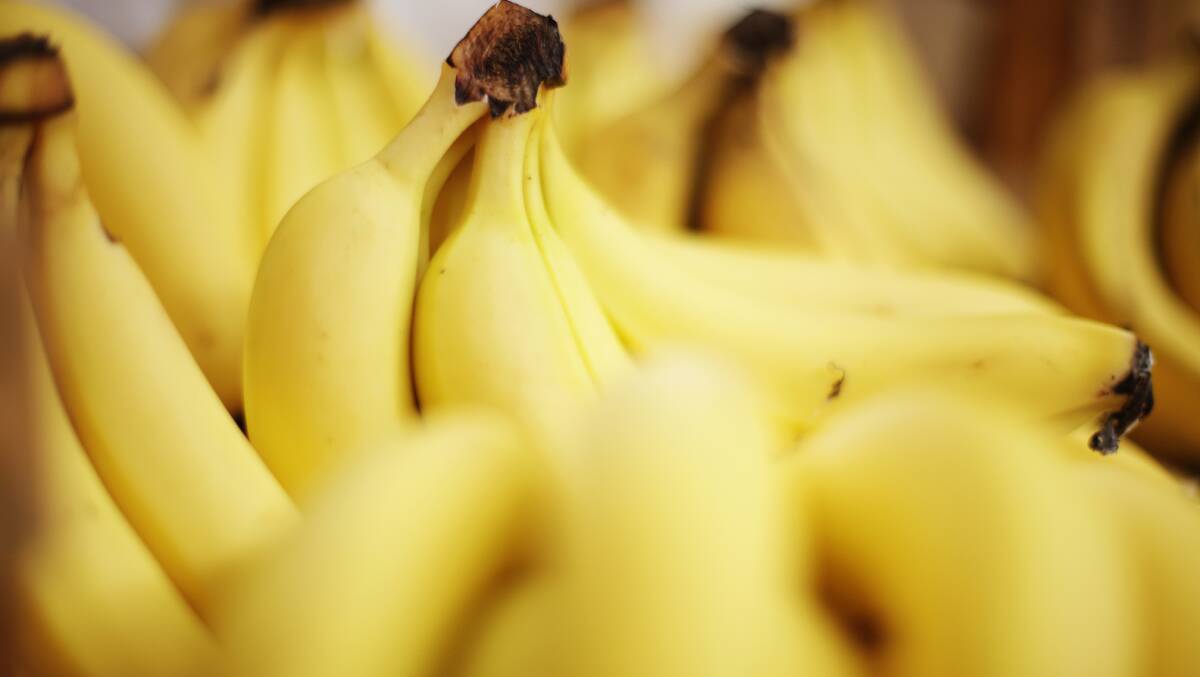 Sth America pumping up banana production