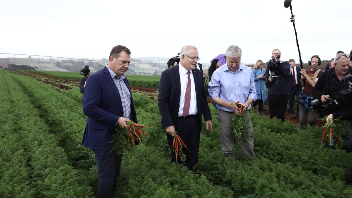 MEMBERS: A photo leading up to the 2019 federal election showing the then Liberal Candidate (now member) for Braddon, Gavin Pearce with Prime Minister Scott Morrison and Deputy Prime Minister, Michael McCormack visiting the Premium Fresh carrot farm near Forth, Tasmania.