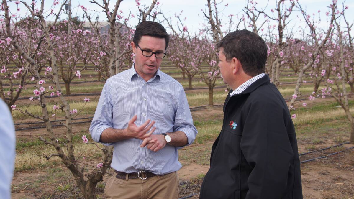 TALK: Water Minister David Littleproud in a nectarine crop at Swan Hill.