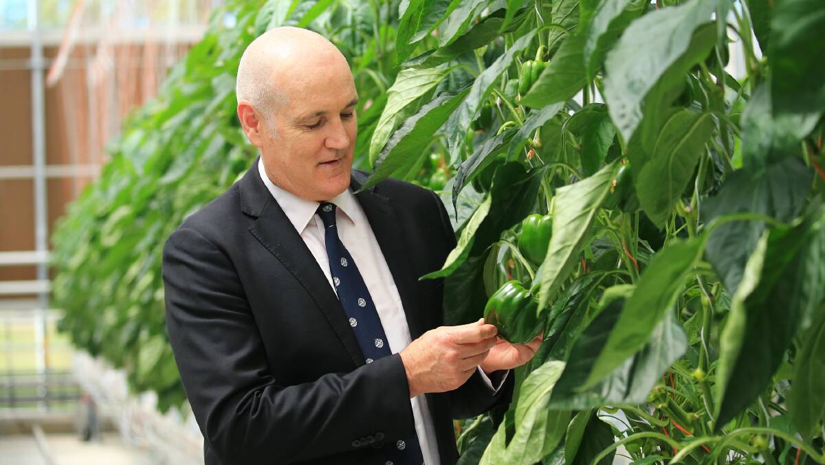 Hort Innovation general manager research marketing and investment David Moore says investment was driven in part by the need to find alternate pollination services as the varroa threat grows.