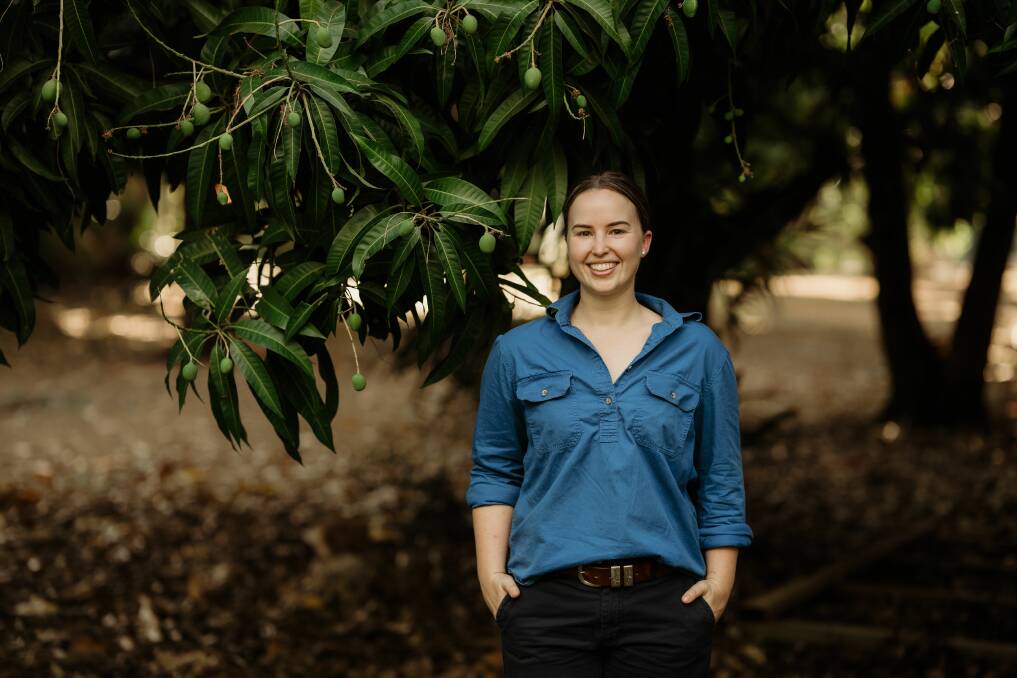 Bec McMullin in some of the Kensington Pride mango trees at Riverfarm mangoes. Picture supplied