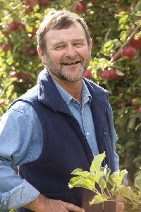 UPBEAT: Batlow Fruit Company director and apple grower, Greg Mouat.