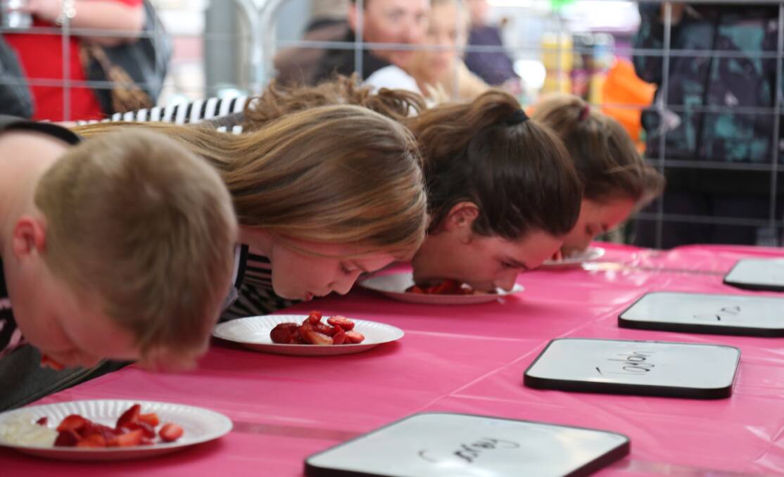 STRAWBERRIES: Corey Albrecht, Tayla McClimont, Ava Glynatsis and Grace Whicher go hard in heat three of the strawberry eating competition.