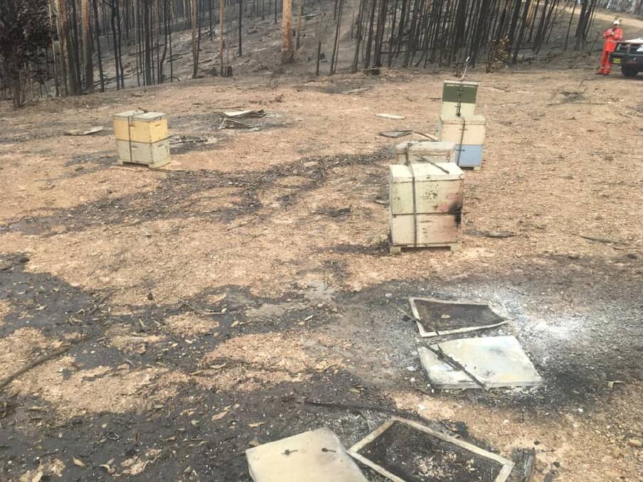 Even in a wide clearing, the Poile's beehives were not safe from the Mogo fire on New Year's Eve. Photo: supplied