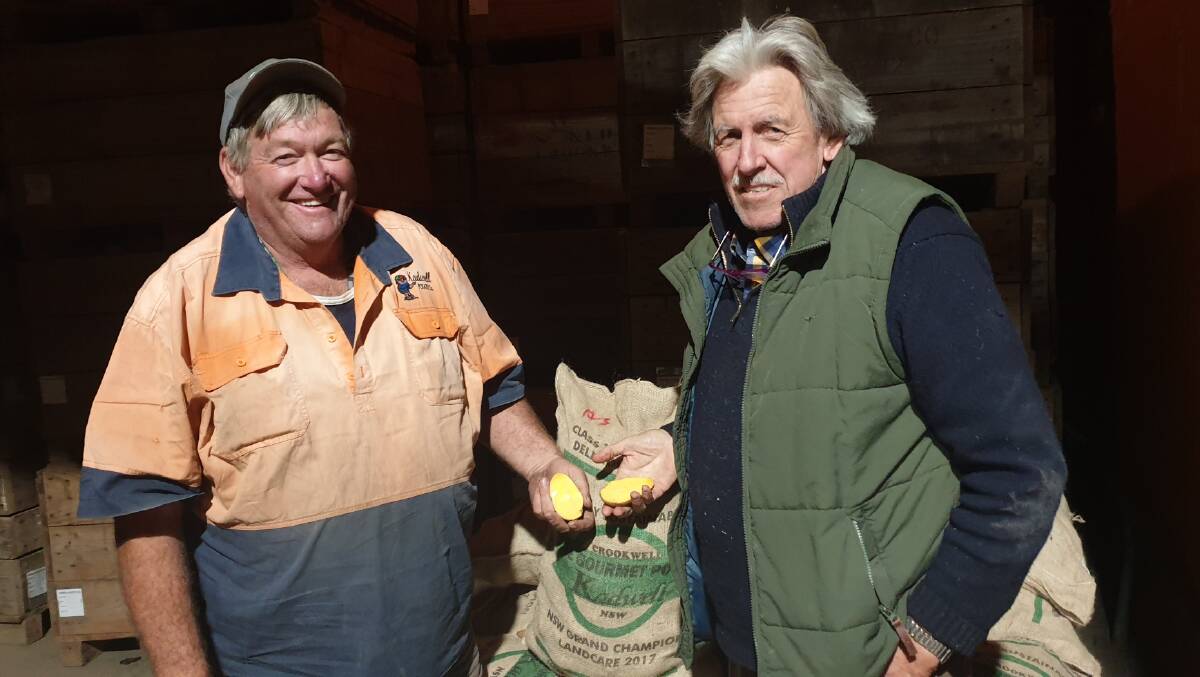 GROWING APPRECIATION: Garry Kadwell and Wentworth Hill with their award-winning Andean Sunrise potato.