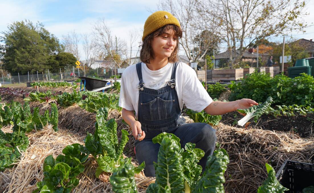 RENEWAL: Clare Harvey, Alphington Urban Farmer, said the group was "grateful for Melbourne Polytechnic's students's contributions and for helping to transform what was a contaminated ex-landfill site into an urban farm.