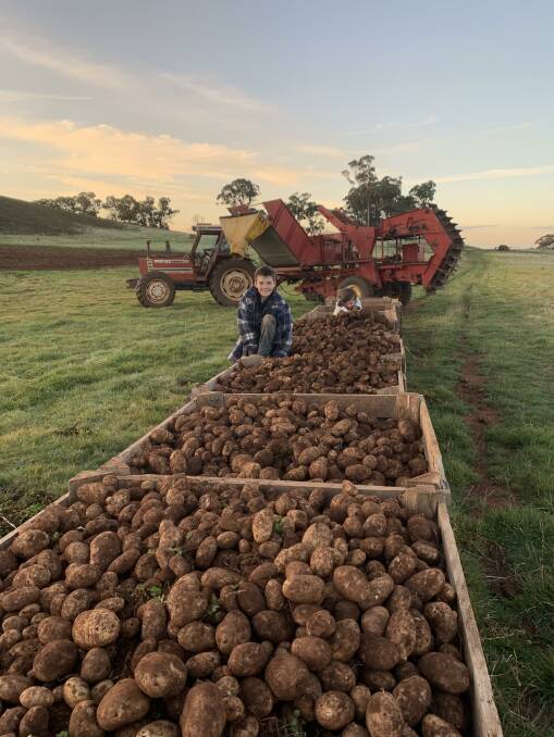 POTATOES: Finbarr, 11, after a hard day of harvesting. Photo: Supplied