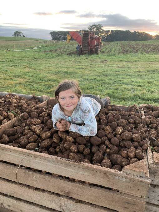 HELPING OUT: Roisin, 9, helps mum and dad with the harvest. Photo: Supplied